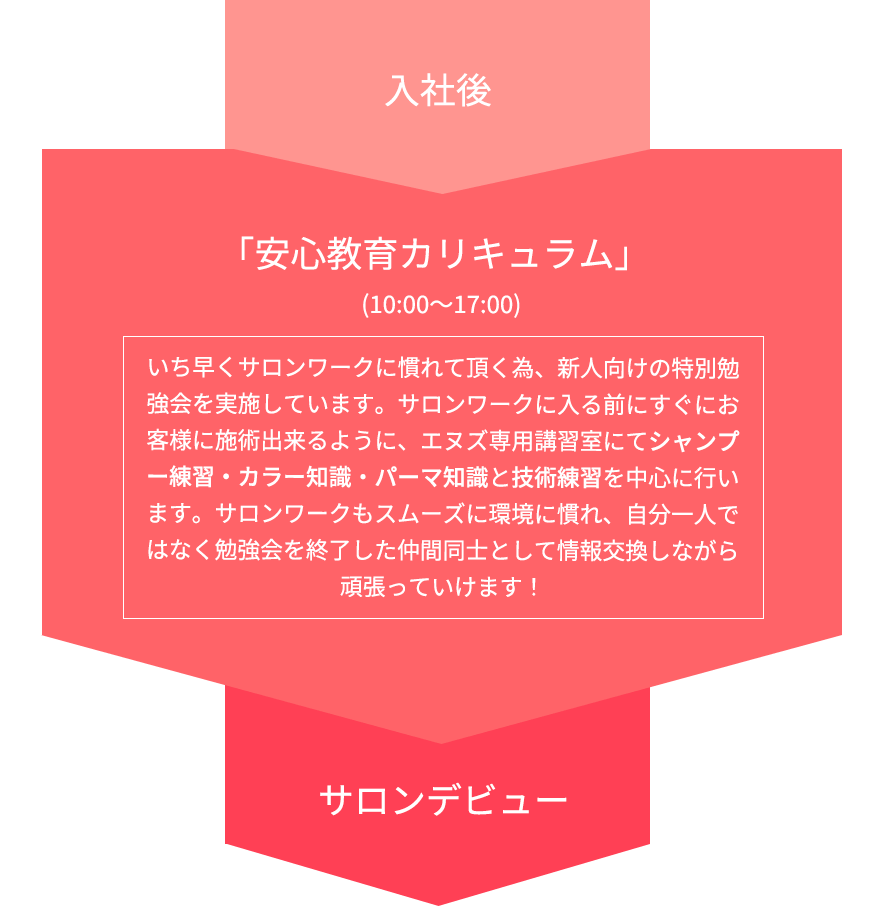 curriculum